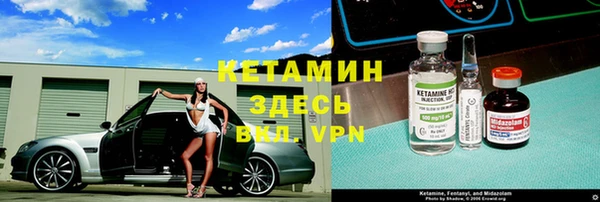 крисы Алексин
