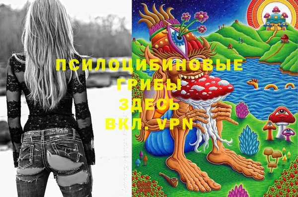 кокаин премиум Алексеевка